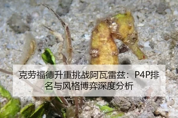 ke-lao-fu-de-sheng-zhong-tiao-zhan-a-wa-lei-zi-pai-ming-yu-feng-ge-bo-yi-shen-du-fen-xi-2-122.jpg