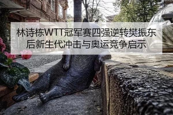 林诗栋WTT冠军赛四强逆转樊振东后新生代冲击与奥运竞争启示